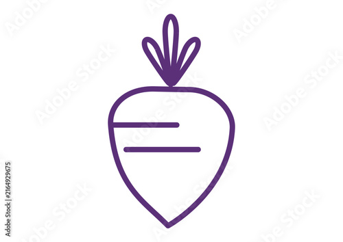 Purple Turnip Diet Food Vegetable