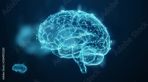 Digital human brain glowing with neural activity