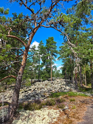 Bronze Age Burial Site of Sammallahdenmäki, a world heritage site in Finland