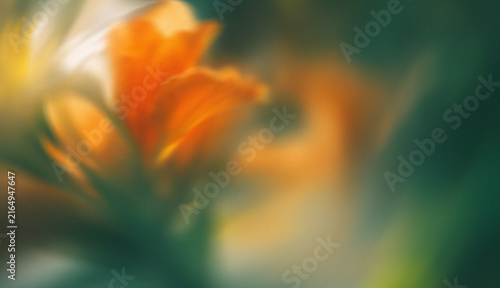 Obraz na plátně Soft blurred orange flower background with green foliage and dreamy botanical at