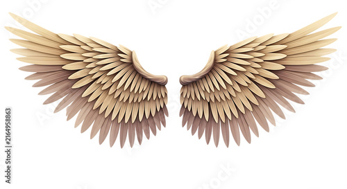 Detailed feathered wings with gradient shading are displayed on transparent background feather feathers avian flight plumage pinion flight-feather down
