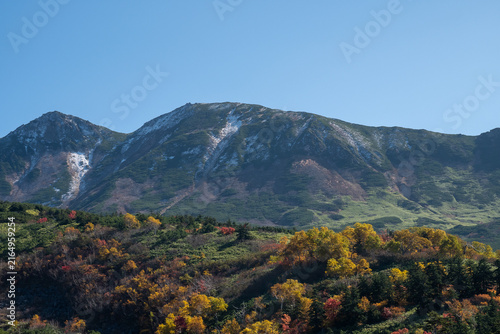 秋の晴れた日の初雪の山とカラフルな森林　十勝岳連峰
