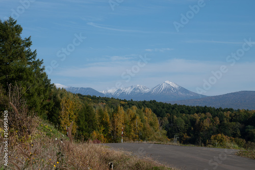 黄葉が始まった雑木林と冠雪の山並み　大雪山
