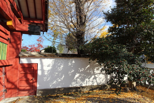神社の紅葉と土塀に映る木の影