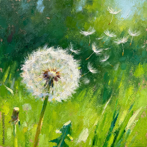 Dandelion Blowing Seeds In Green Meadow