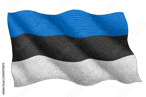 Estonian Flag Vintage Engraving