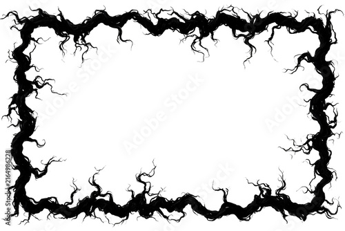 frame with black and white border design