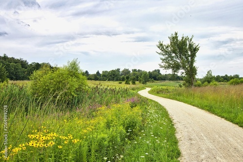 Foto Beneath a cloudy August sky, the Des Plaines River Trail winds past colorful wildflowers in Wadsworth Savanna near Wadsworth, Illinois