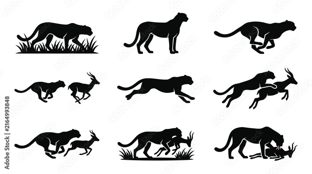 Obraz premium Black silhouette of running cheetahs sprinting.
