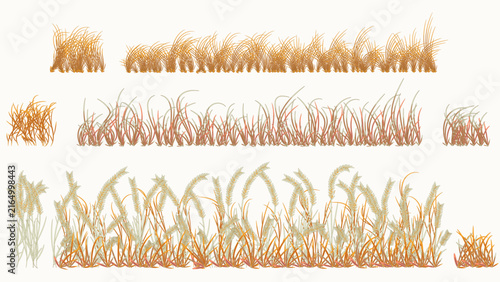 Autumn Dry Grass Border Collection – Hand Drawn Meadow and Wheat Vector Set