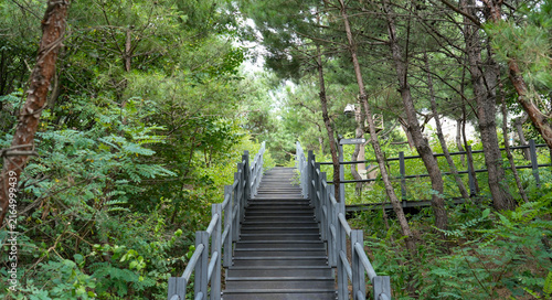 Stone stairs ascending along the Hanyangdoseong (Seoul City Wall) trail on a summer day, South Korea
