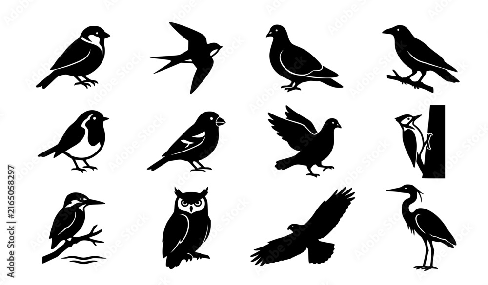 Fototapeta premium Wild Bird Silhouette Icon Collection