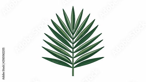 green leaf isolated on white