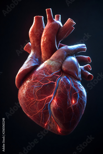 Realistic 3D Render of Human Heart with Glowing Coronary Blood Vessels on Dark Background