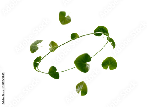 Green heart shaped leaves arranged in circular pattern as PNG cutout