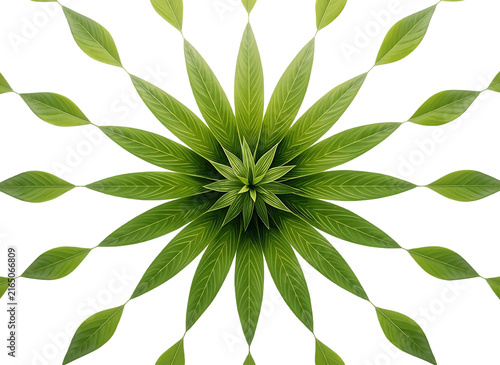 Mandala pattern made of fresh green leaves as isolated object