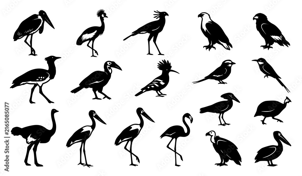 Fototapeta premium African Wildlife Bird Black White Symbol Set