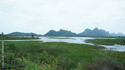 Wetland and Limestone Mountain Landscape in Thailand