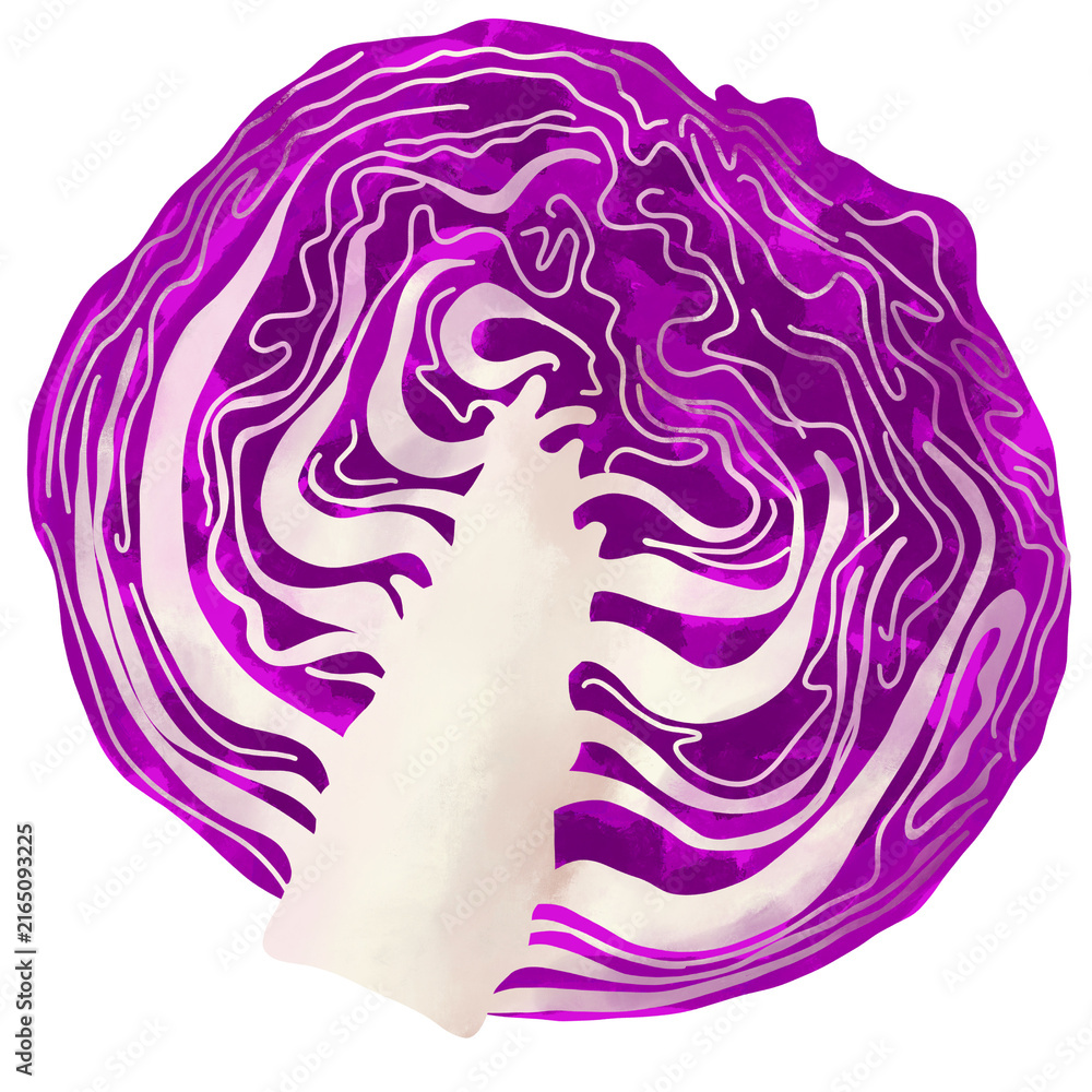 Obraz premium Sliced Red Cabbage Illustration Isolated on Transparent Background