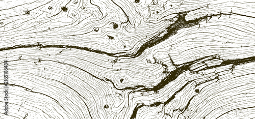 Abstract monochrome wood grain pattern illustration with organic texture lines and shapes