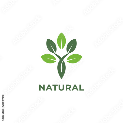 Simple Green Natural Branches Leaves Organic Logo Design Template