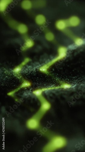 Glowing Green Organic Pattern on Dark Surface