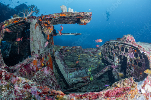 Obraz na płótnie Sunken WWII PBY Catalina Cockpit with Pilot Seat, Dashboard, and Diver in Biak P