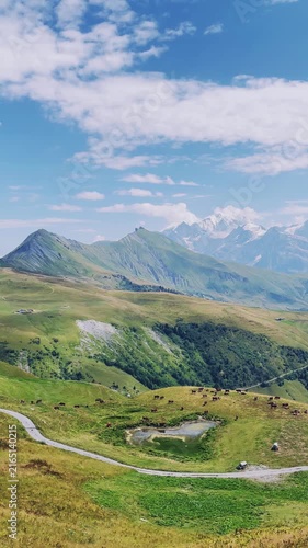 Winding mountain road through green valley with snowy alps peaks in background
