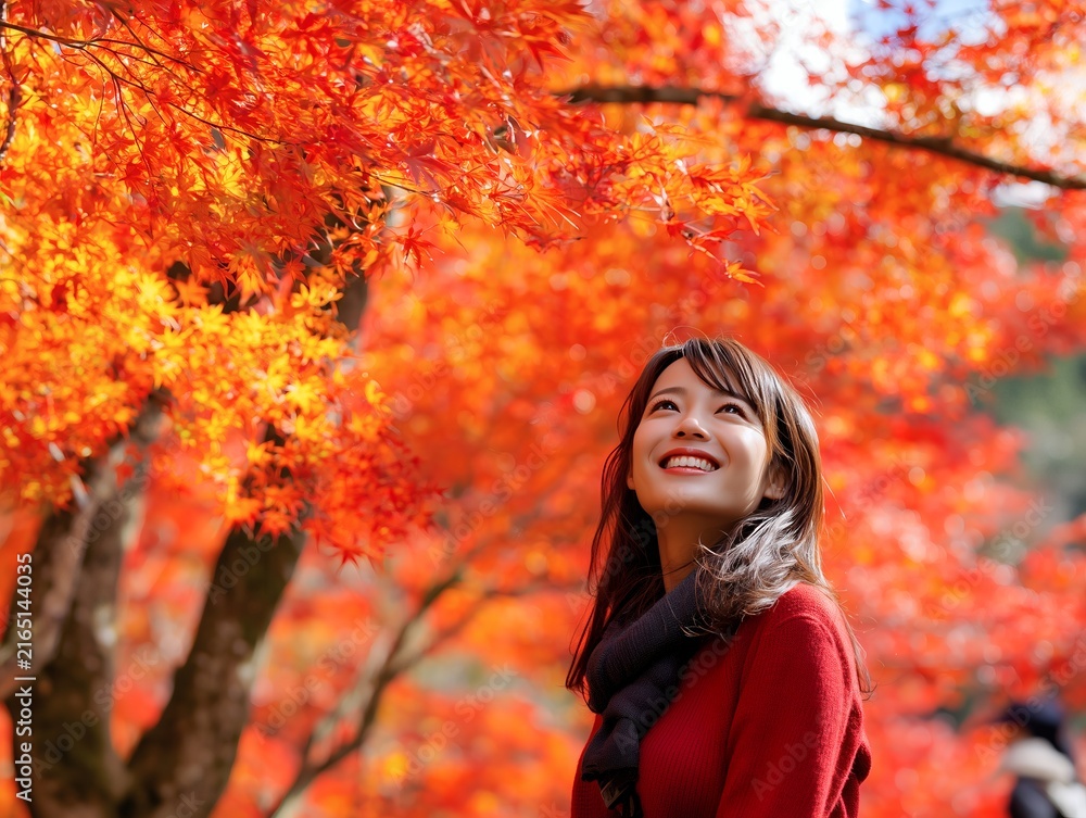 紅葉狩り」の写真素材 | 54,735件の無料イラスト画像 | Adobe Stock