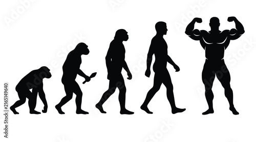Evolution of man vector illustration showing stages from primitive ape to a strong muscular bodybuilder