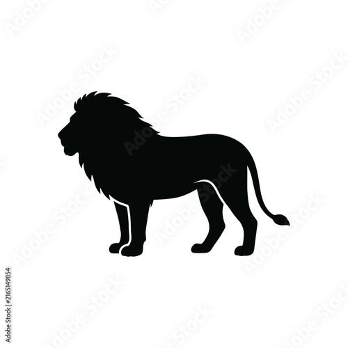 lion vector illustration