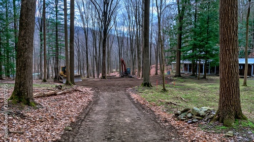 Construction equipment clearing forest floor for building development with overcast sky