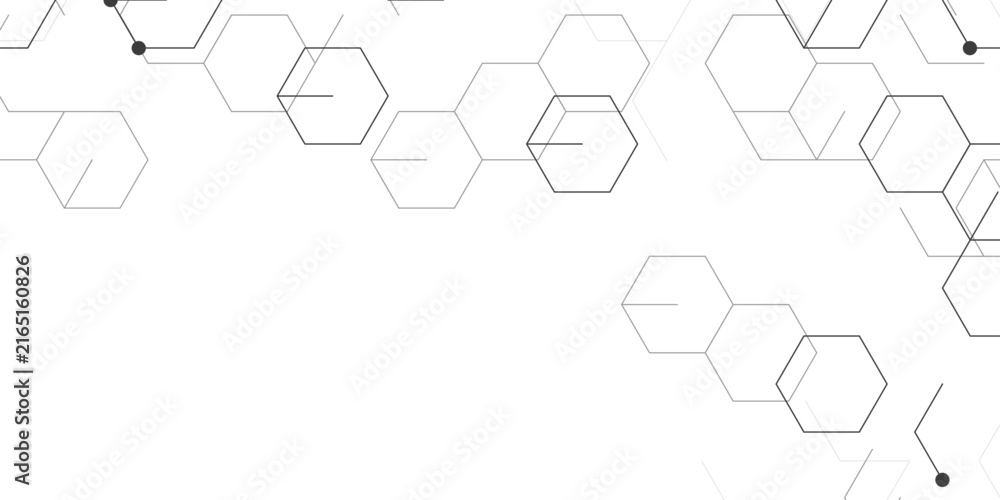 Fototapeta premium Abstract soft white hexagonal pattern background. Modern fine black molecule bonds linking outlined hexagons. Science design for presentation, packaging and landing page.