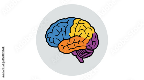 Flat design vector illustration of a human brain icon with distinct colored lobes, isolated on a light grey circle background