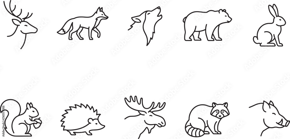 Obraz premium Woodland Animal Hand Drawn Line Art Collection Featuring Deer, Fox, Wolf, Bear, Rabbit, Squirrel, Hedgehog and Other Forest Wildlifewoodland, animal, deer, fox, wolf, bear, rabbit, squirrel, hedgehog,