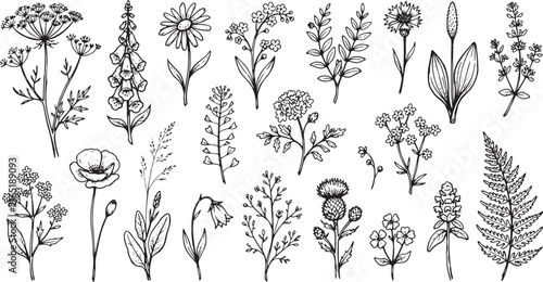 Hand Drawn Botanical Flower and Leaf Line Art Collection for Floral Design