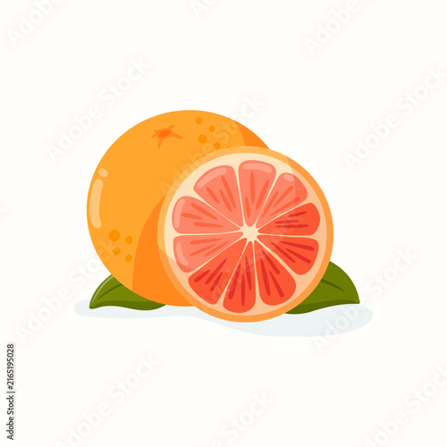 Blood orange vector illustration with whole and half fruit