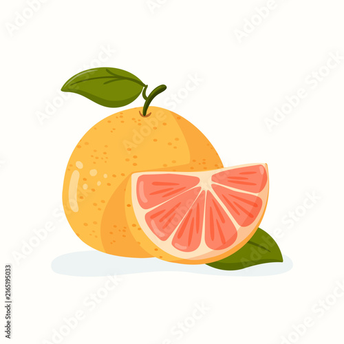 Isolated ruby red grapefruit vector illustration with slice