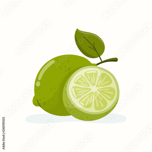 Fresh citrus green lime fruit whole and half isolated vector illustration