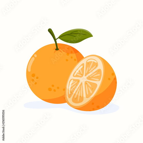 Whole and half orange fruit vector illustration