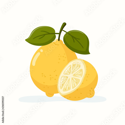 Fresh whole and half lemon vector illustration for menu and packaging