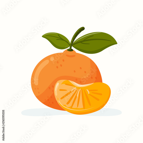 Isolated mandarin orange fruit vector illustration with slice