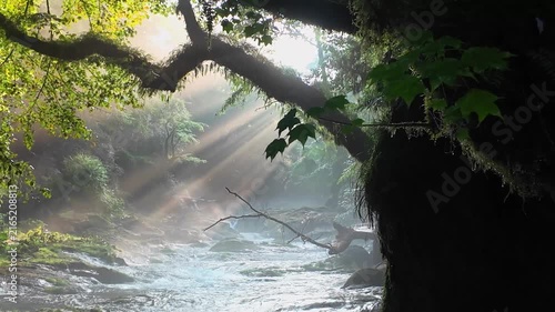 夏でも涼しい菊池渓谷