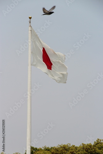 Foto japanese flag in hiroshima in japan