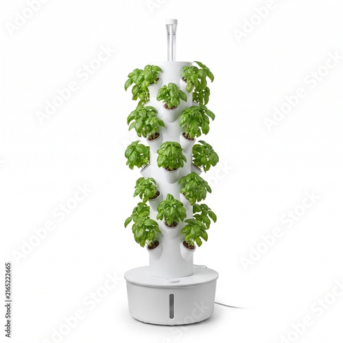 Hydroponic vertical garden tower with fresh green basil. Indoor aeroponic growing system for home gardening. Modern white planter tower.