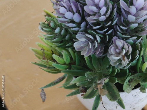 фотографія Artificial flower decorations serve to beautify a room or event in a lasting way, without the hassle of watering or maintenance, and without the risk of wilting