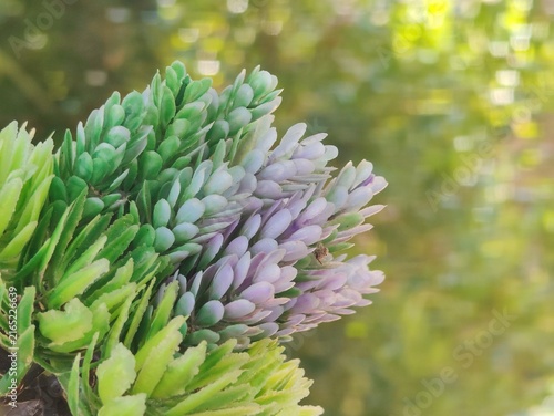 Quadro su tela Artificial flower decorations serve to beautify a room or event in a lasting way, without the hassle of watering or maintenance, and without the risk of wilting