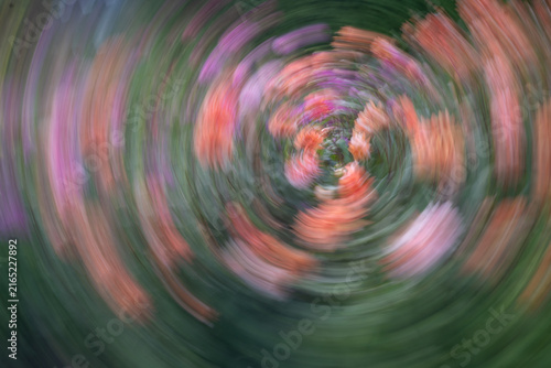 Cuadro en lienzo Abstract orange and pink flowers with green foliage transformed by intentional camera movement into a swirling painterly composition with circular motion and soft flowing colors