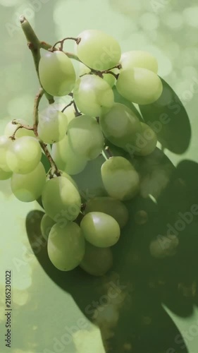 Composition of white grapes over trees background