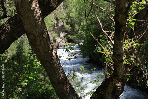 Landscape in the Valira d'Orient valley in La Massana, Andorra